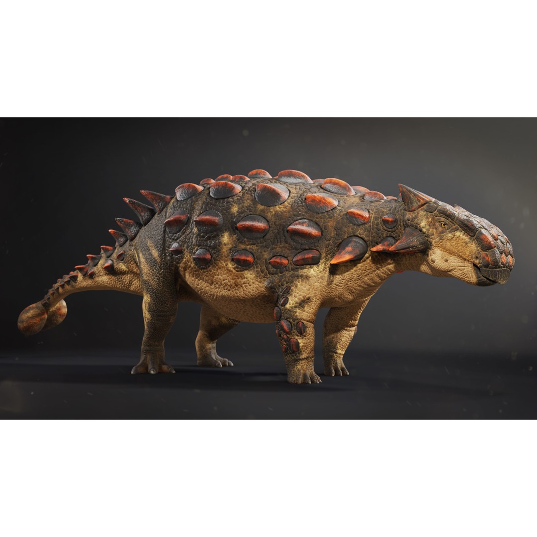 Ankylosaurus 3D Model – Low Poly Rigged Dinosaur with PBR Textures - View 3