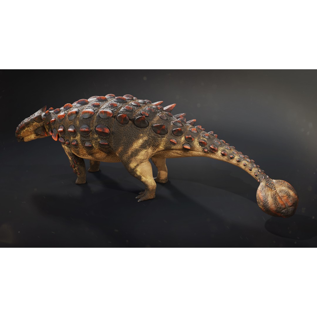 Ankylosaurus 3D Model – Low Poly Rigged Dinosaur with PBR Textures - View 4