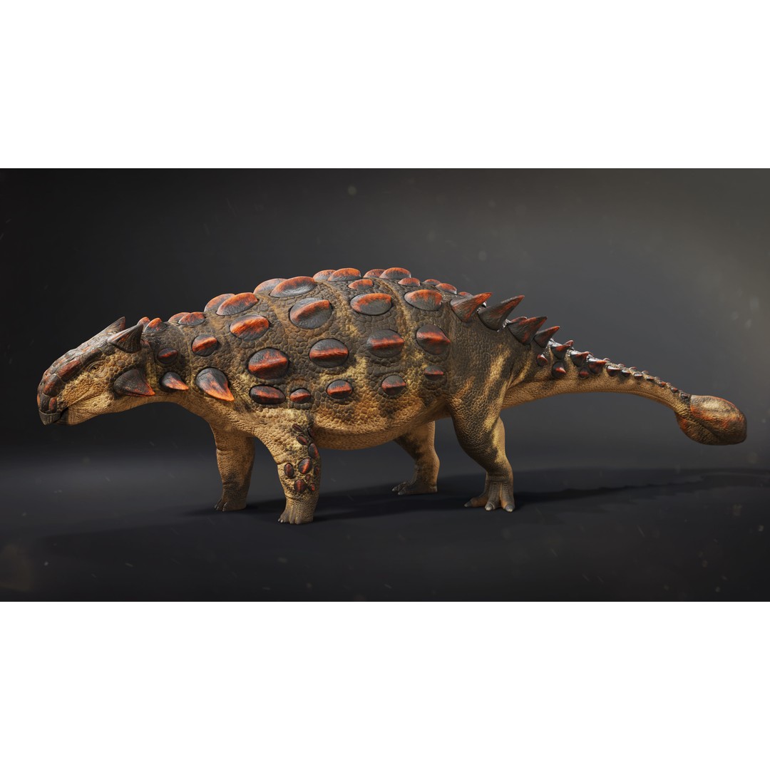 Ankylosaurus 3D Model – Low Poly Rigged Dinosaur with PBR Textures - View 5