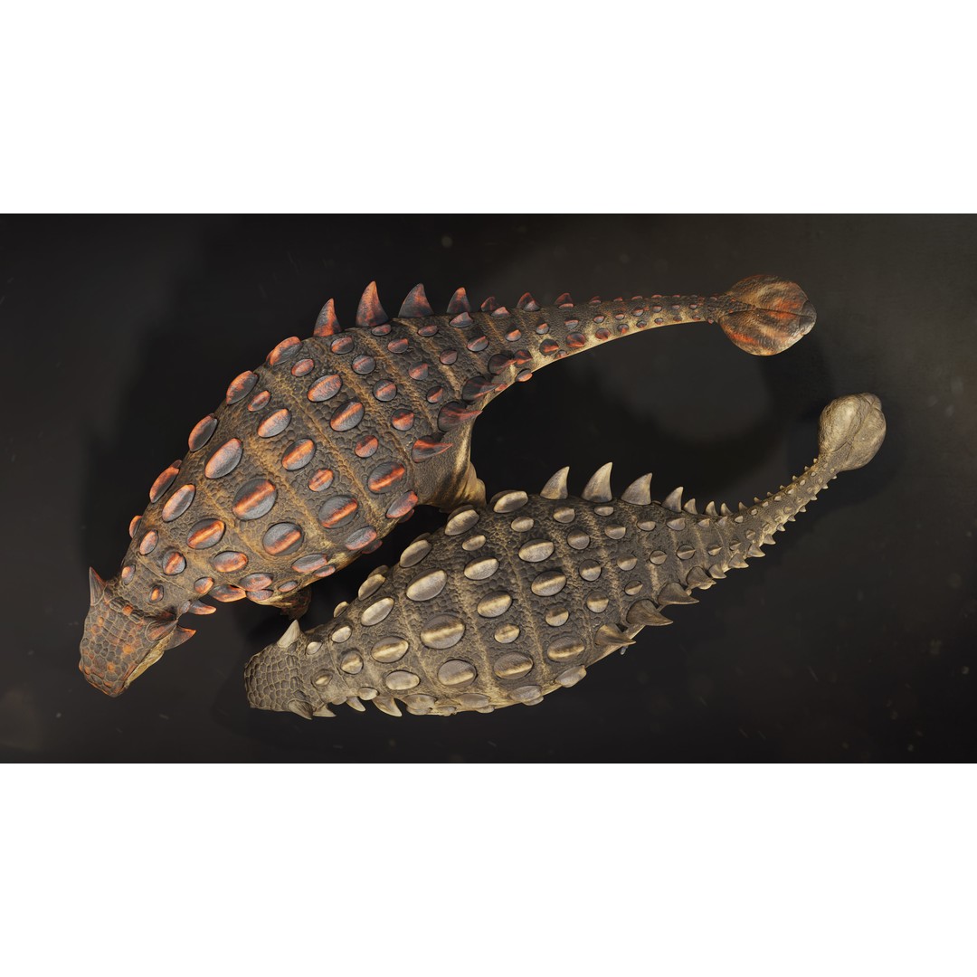 Ankylosaurus 3D Model – Low Poly Rigged Dinosaur with PBR Textures - View 7