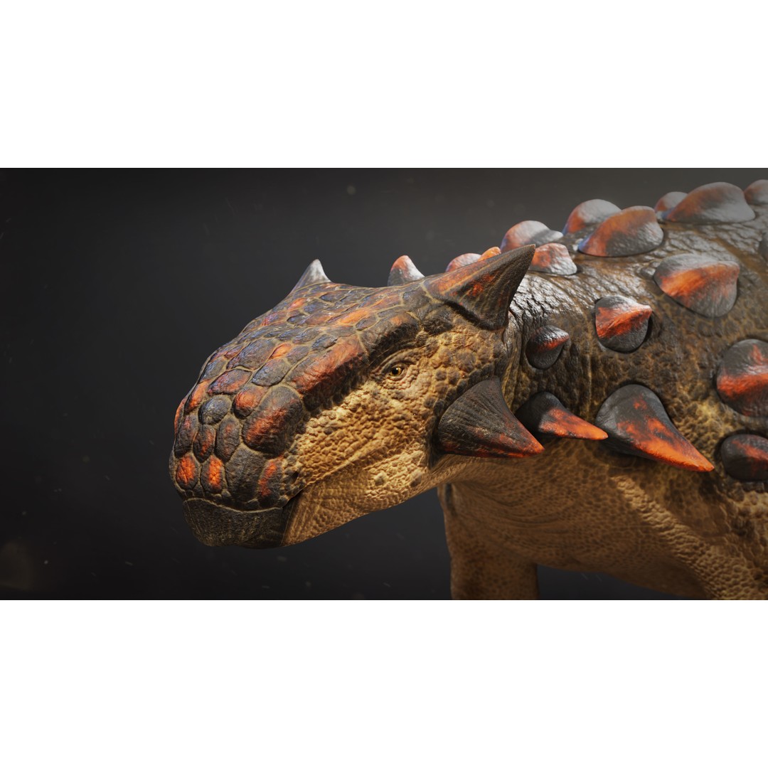 Ankylosaurus 3D Model – Low Poly Rigged Dinosaur with PBR Textures - View 8