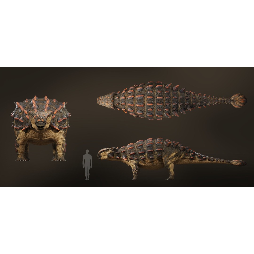 Ankylosaurus 3D Model – Low Poly Rigged Dinosaur with PBR Textures - View 9