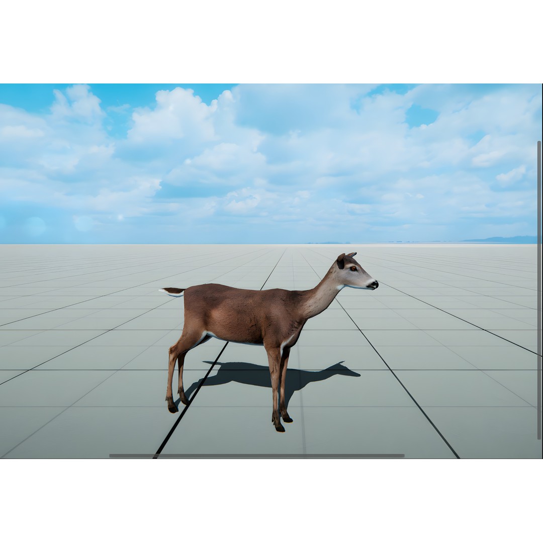 Realistic Animals PACK 3D Model – Low Poly Game Asset, FBX & Blender
