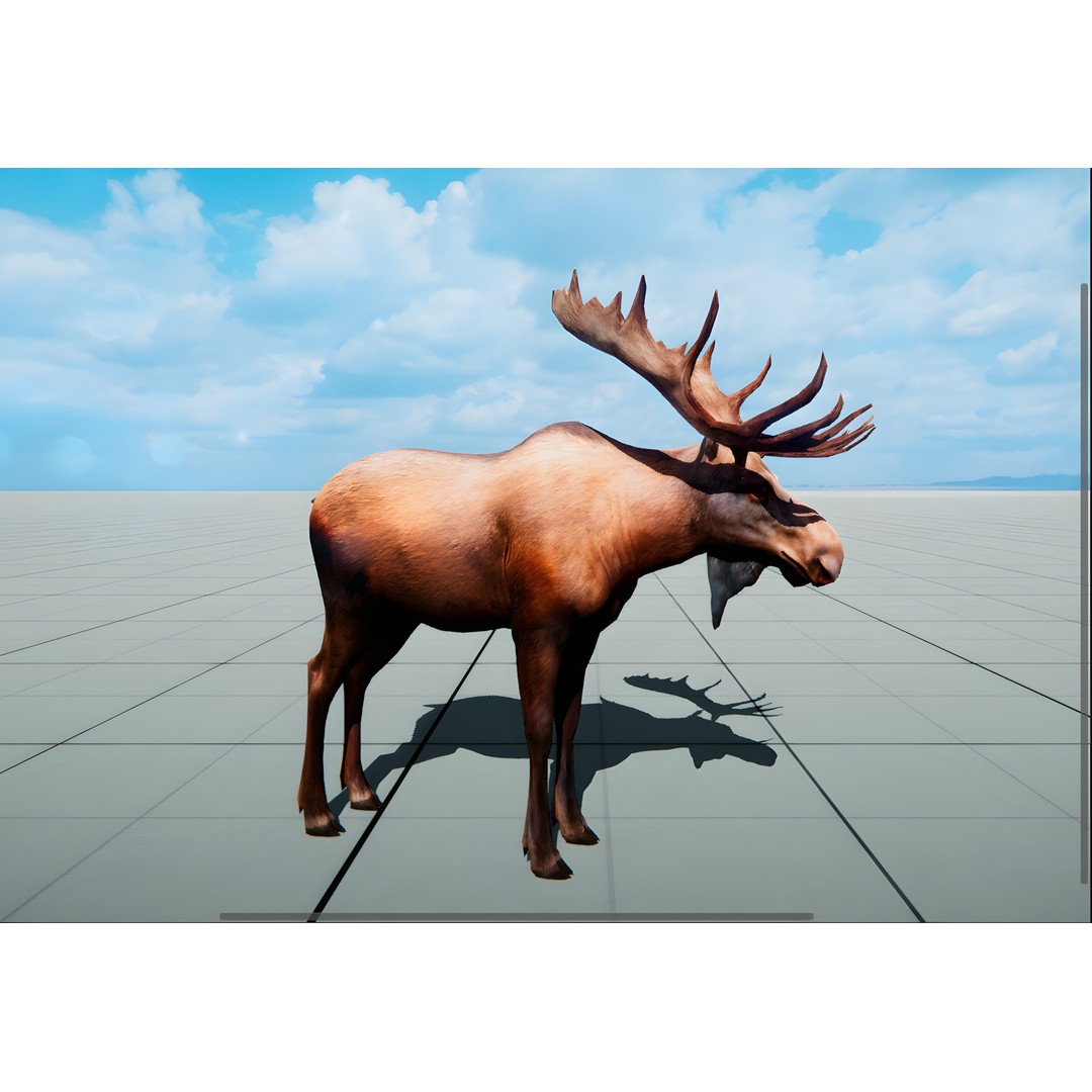 Realistic Animals PACK 3D Model – Low Poly Game Asset, FBX & Blender - View 10
