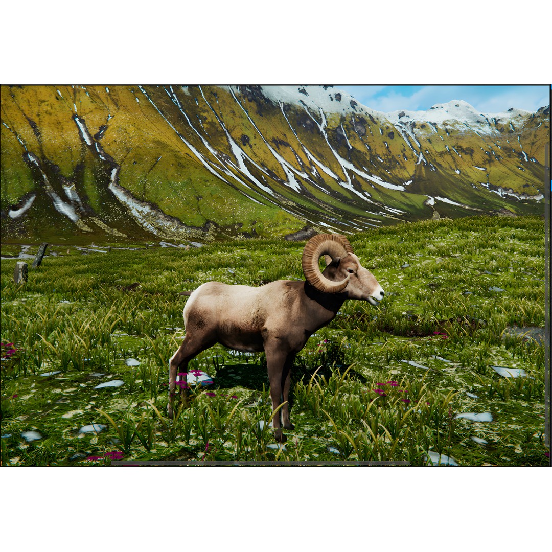 Realistic Animals PACK 3D Model – Low Poly Game Asset, FBX & Blender - View 11