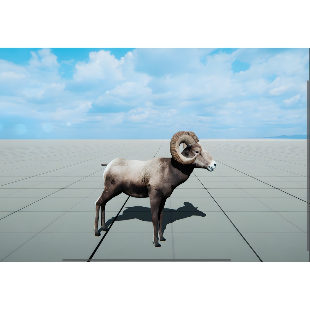 Realistic Animals PACK 3D Model – Low Poly Game Asset, FBX & Blender - View 12