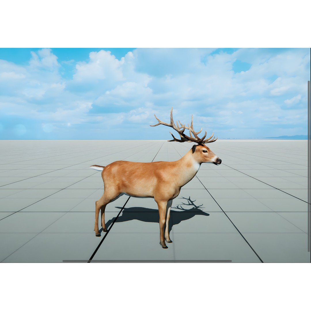 Realistic Animals PACK 3D Model – Low Poly Game Asset, FBX & Blender - View 14