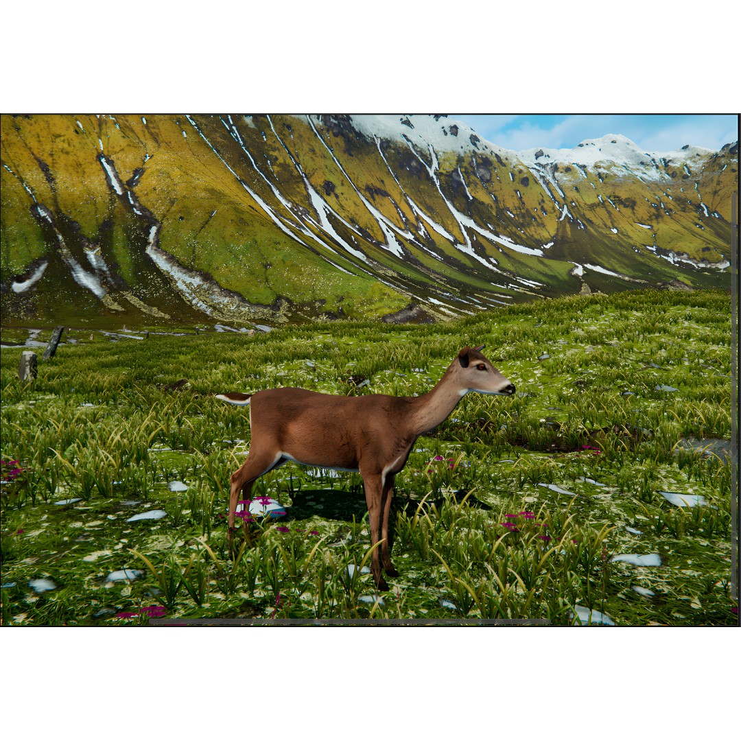 Realistic Animals PACK 3D Model – Low Poly Game Asset, FBX & Blender - View 15