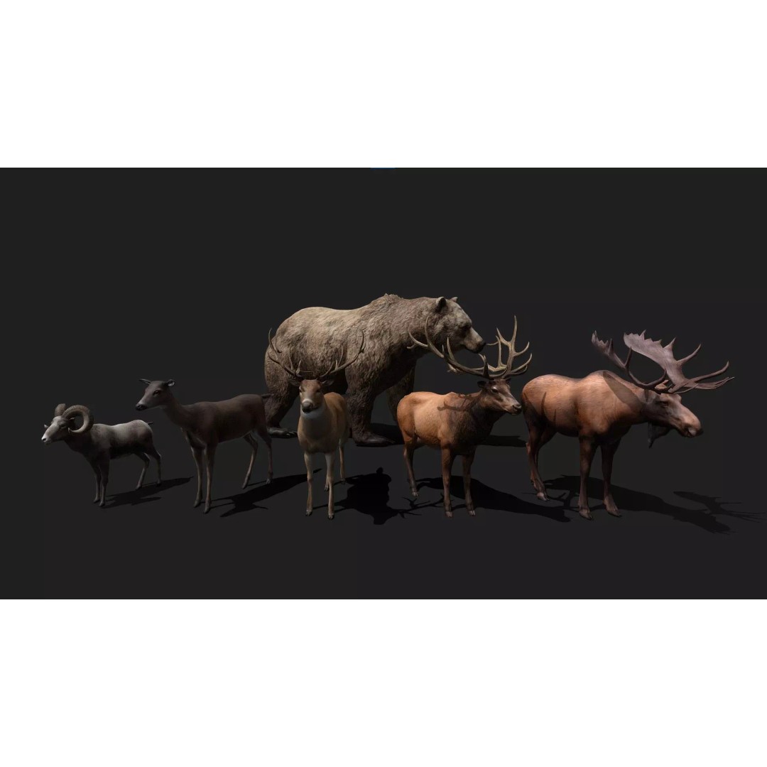 Realistic Animals PACK 3D Model – Low Poly Game Asset, FBX & Blender - View 2