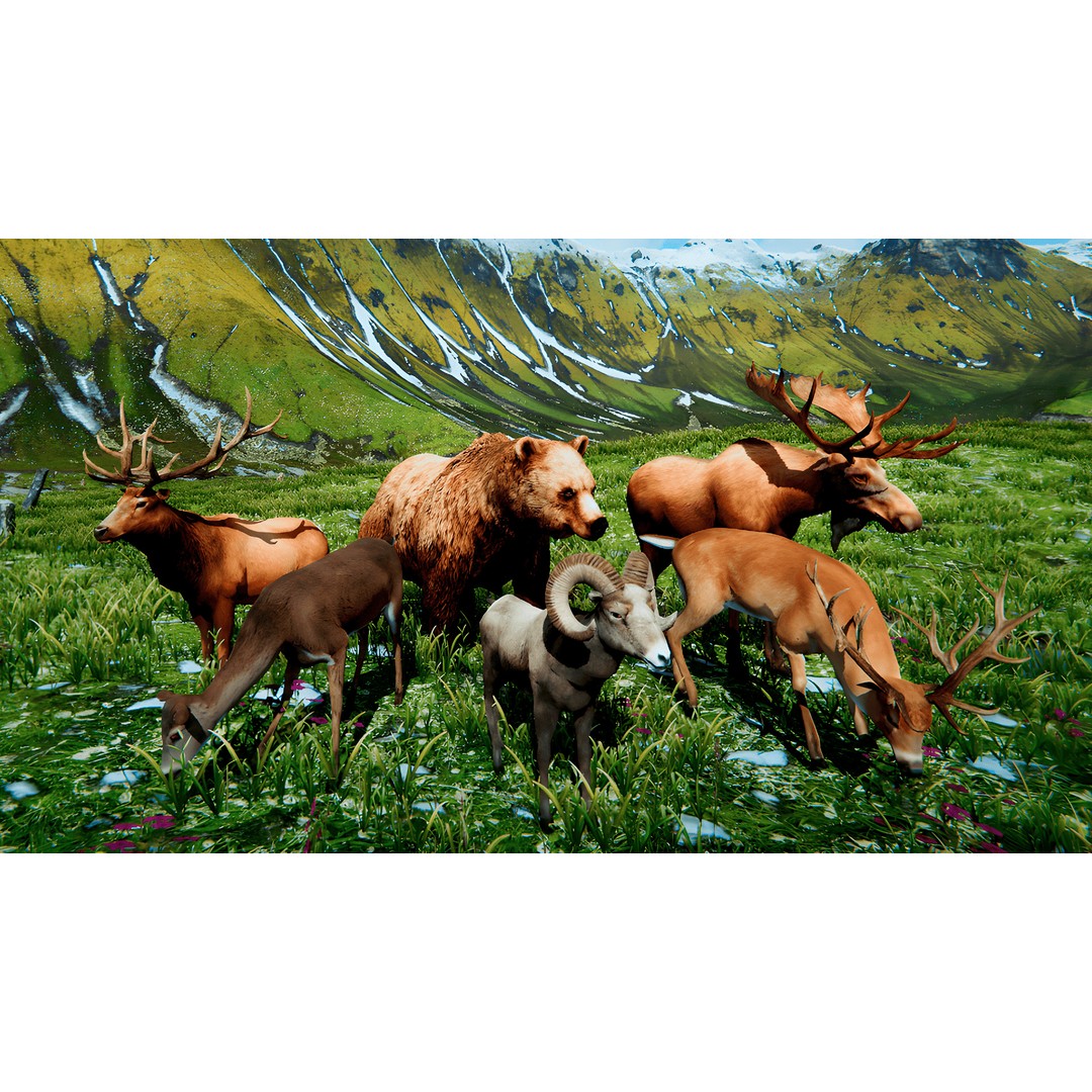 Realistic Animals PACK 3D Model – Low Poly Game Asset, FBX & Blender - View 4