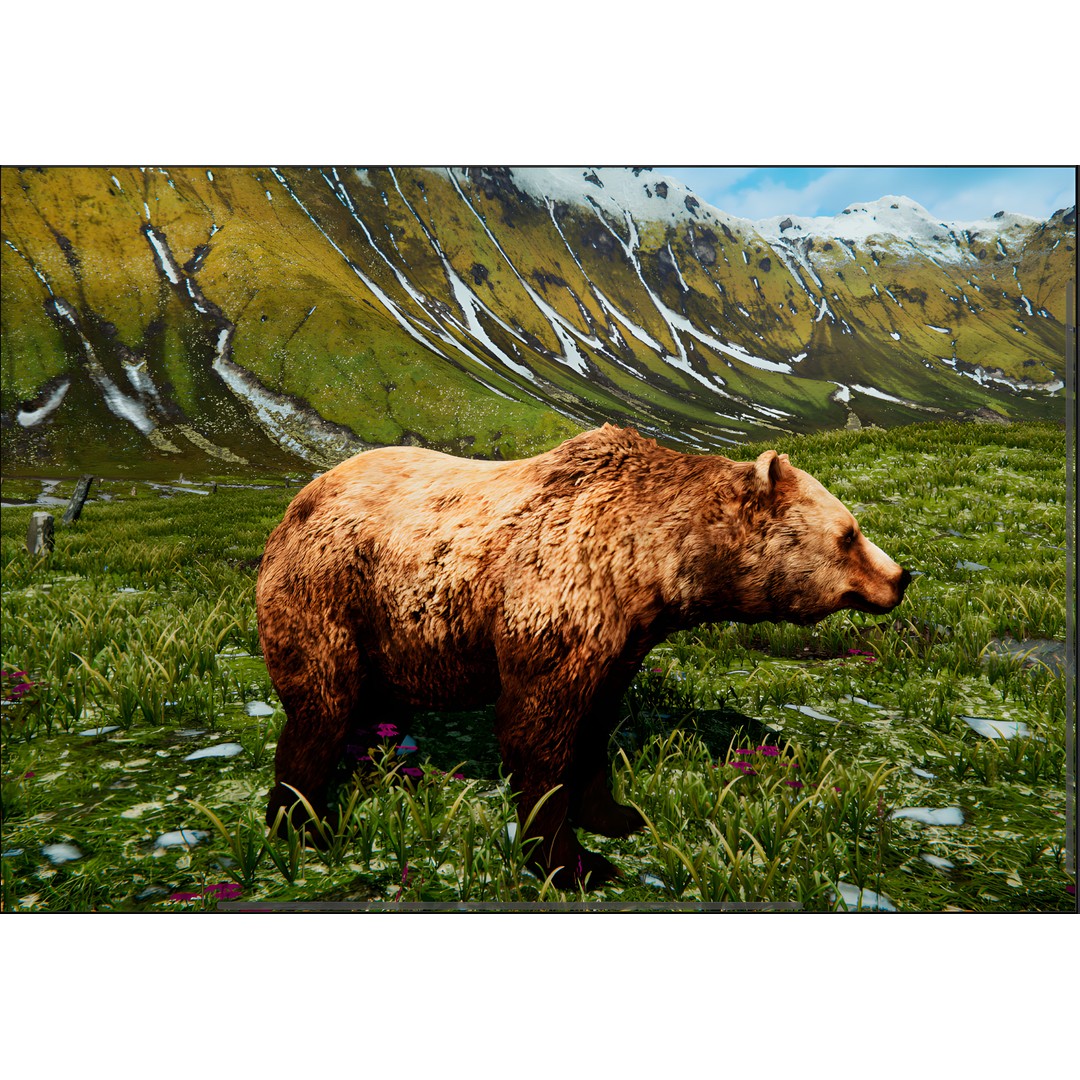 Realistic Animals PACK 3D Model – Low Poly Game Asset, FBX & Blender - View 5
