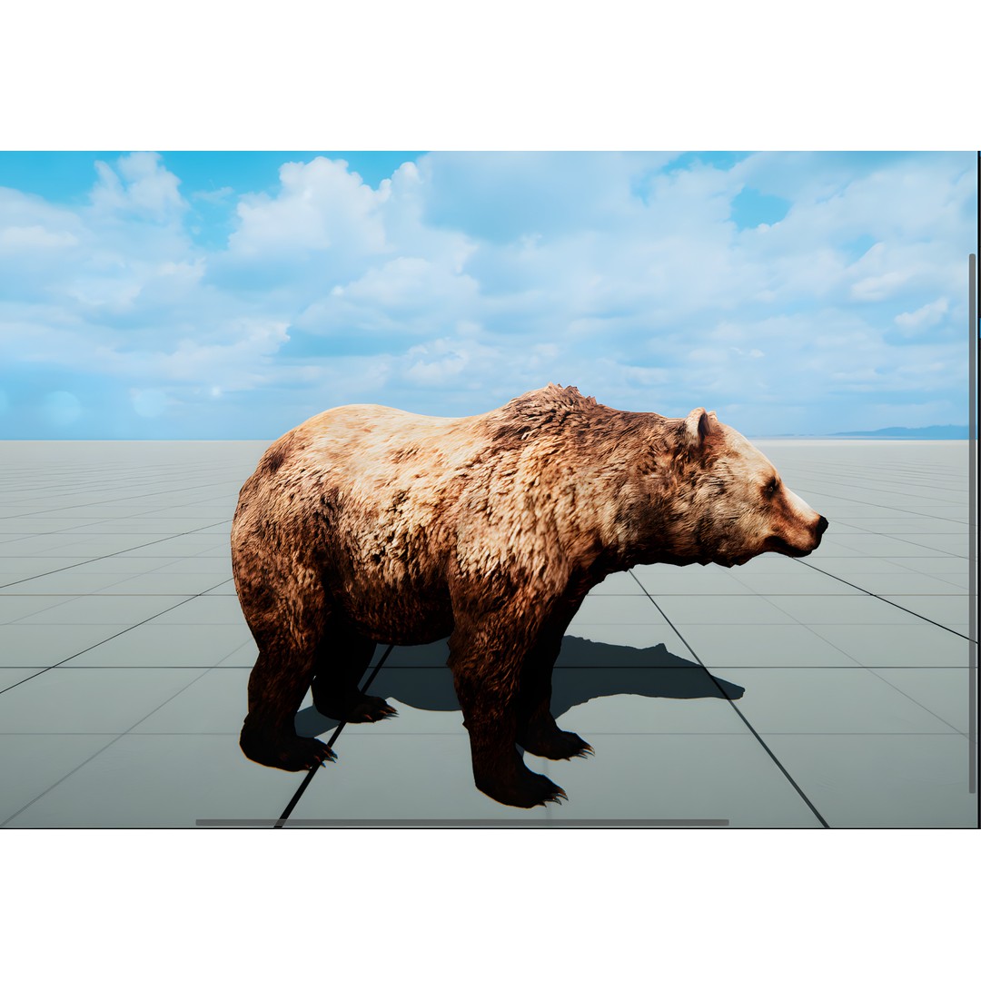 Realistic Animals PACK 3D Model – Low Poly Game Asset, FBX & Blender - View 6
