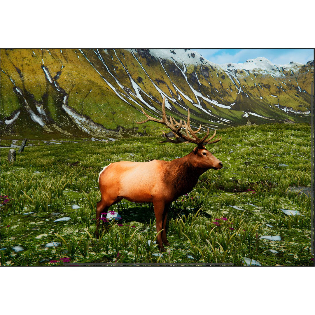 Realistic Animals PACK 3D Model – Low Poly Game Asset, FBX & Blender - View 7