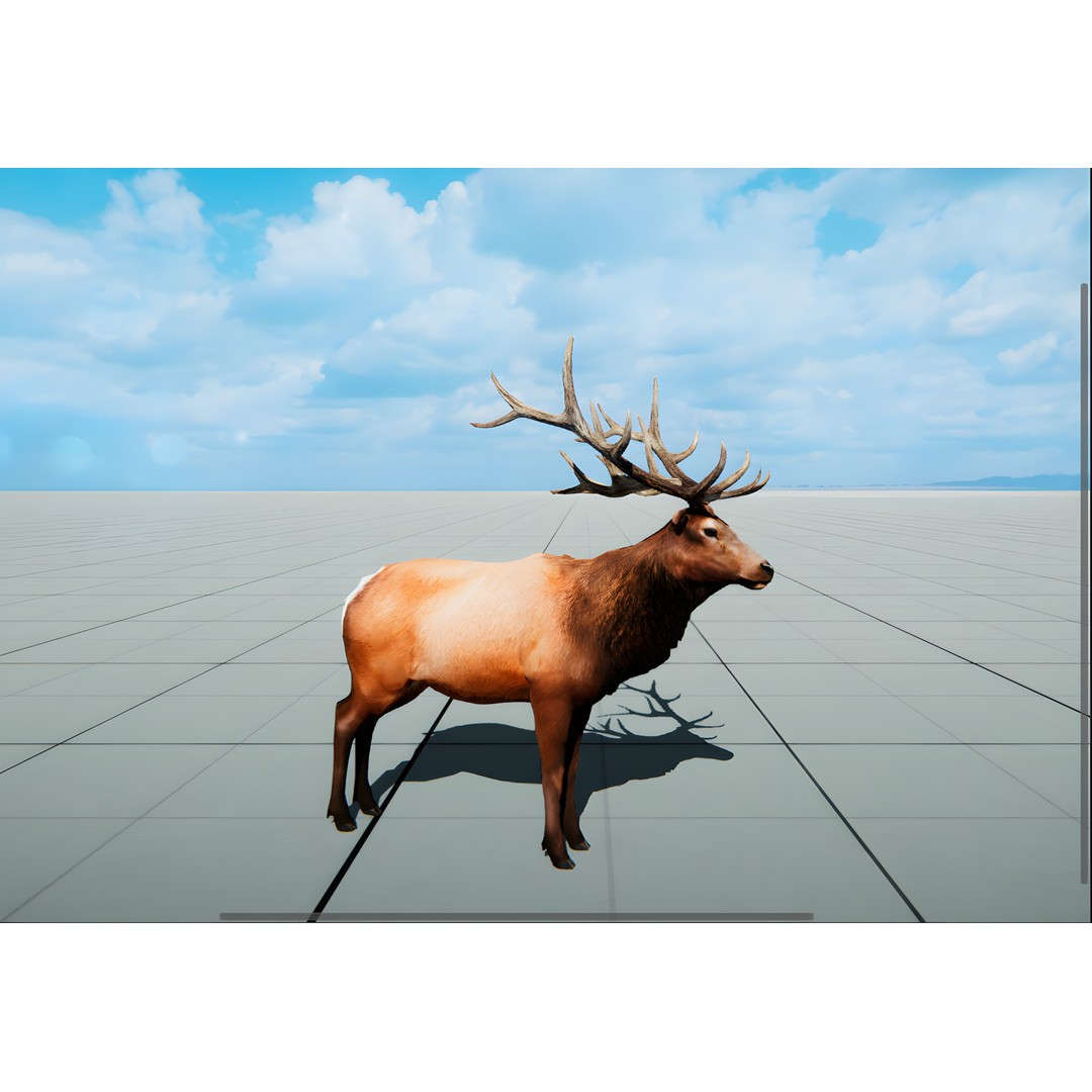 Realistic Animals PACK 3D Model – Low Poly Game Asset, FBX & Blender - View 8