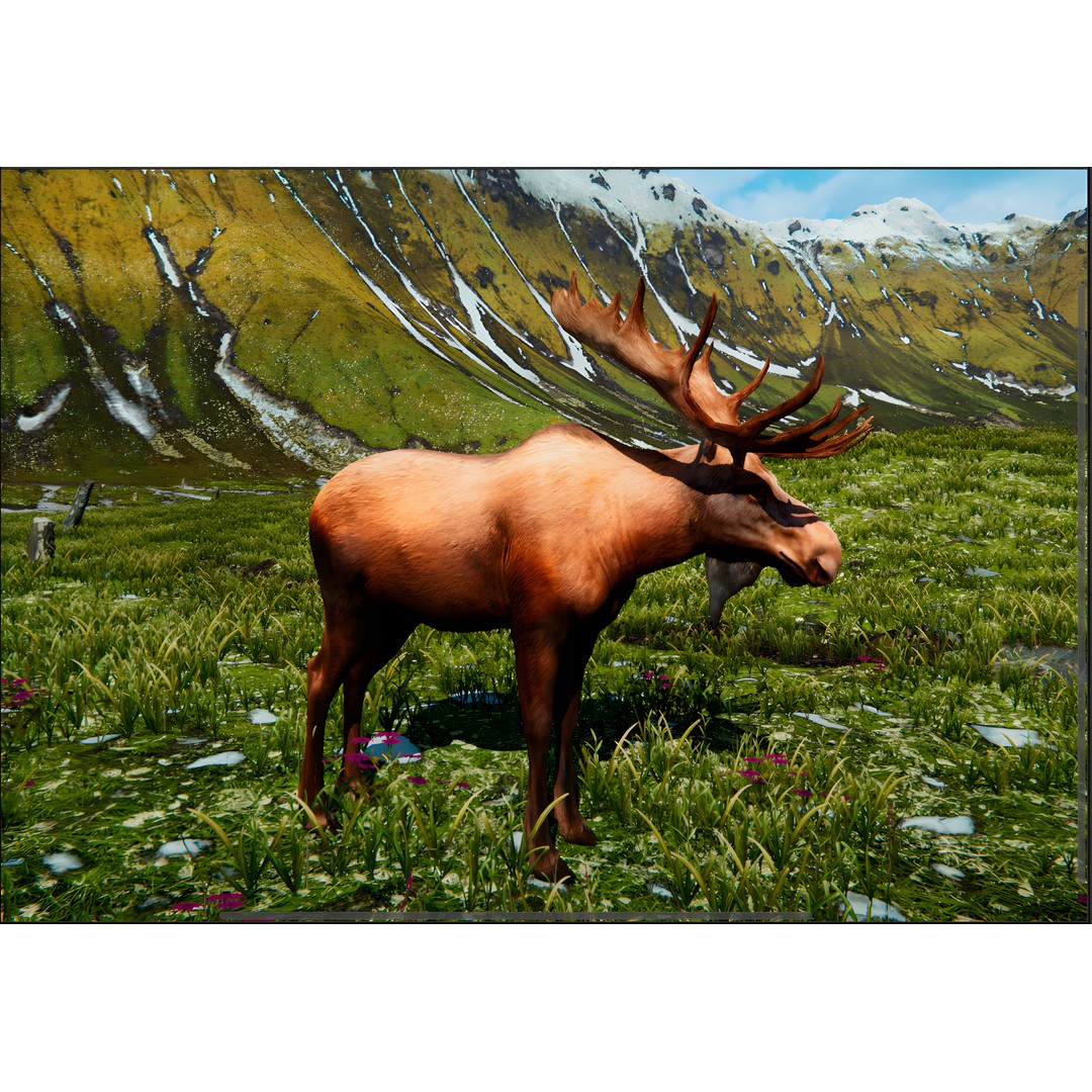 Realistic Animals PACK 3D Model – Low Poly Game Asset, FBX & Blender - View 9