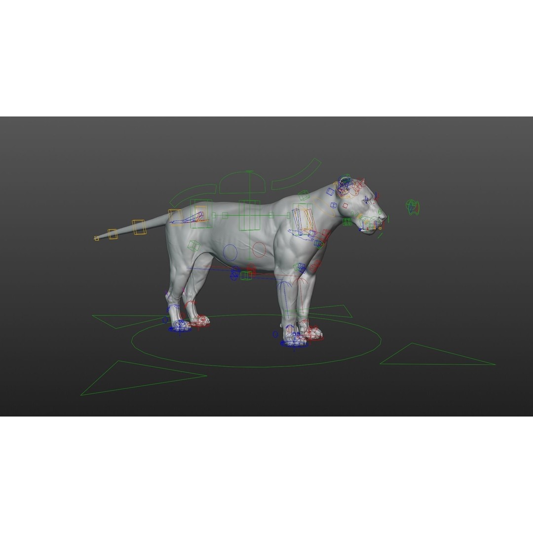 Male Lion 3D Model – High Poly Rigged Character with Animations - View 19