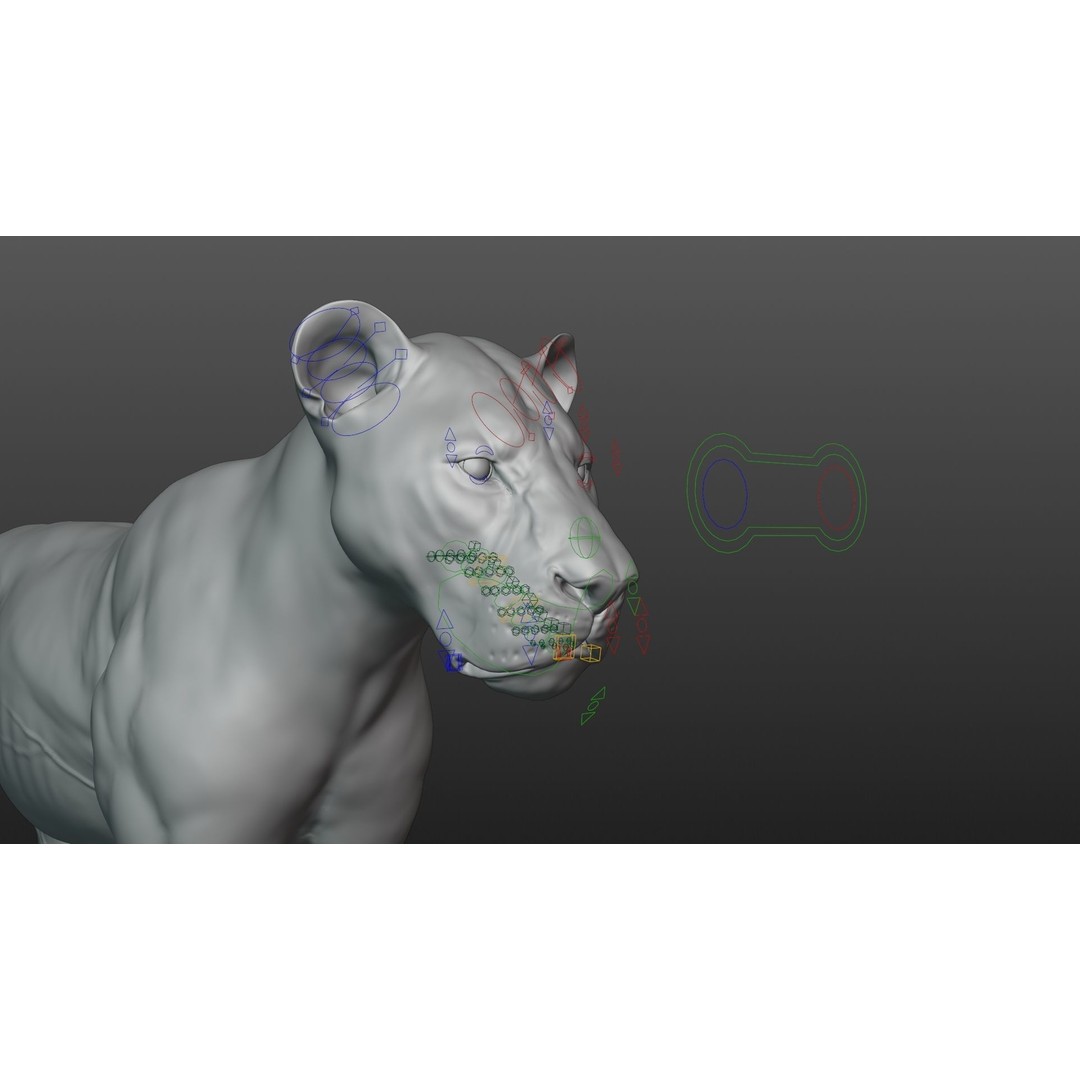 Male Lion 3D Model – High Poly Rigged Character with Animations - View 20