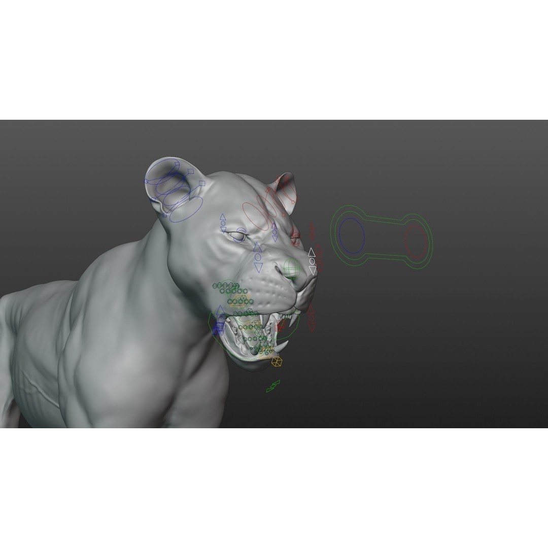 Male Lion 3D Model – High Poly Rigged Character with Animations - View 23