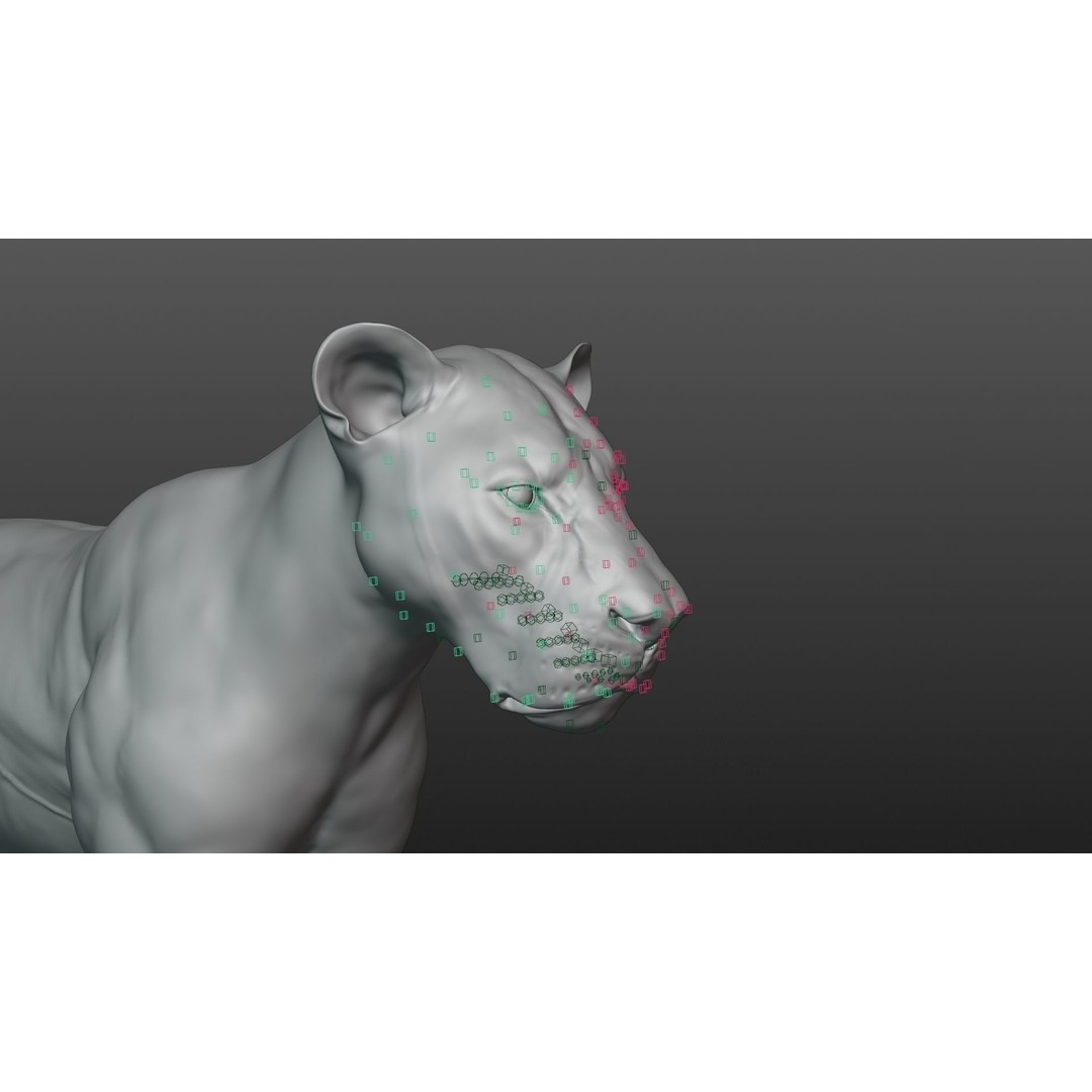 Male Lion 3D Model – High Poly Rigged Character with Animations - View 25