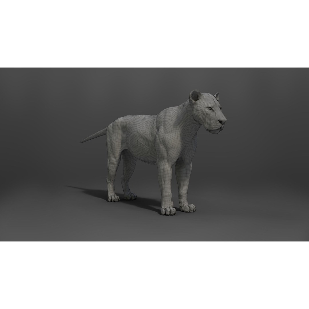 Male Lion 3D Model – High Poly Rigged Character with Animations - View 26