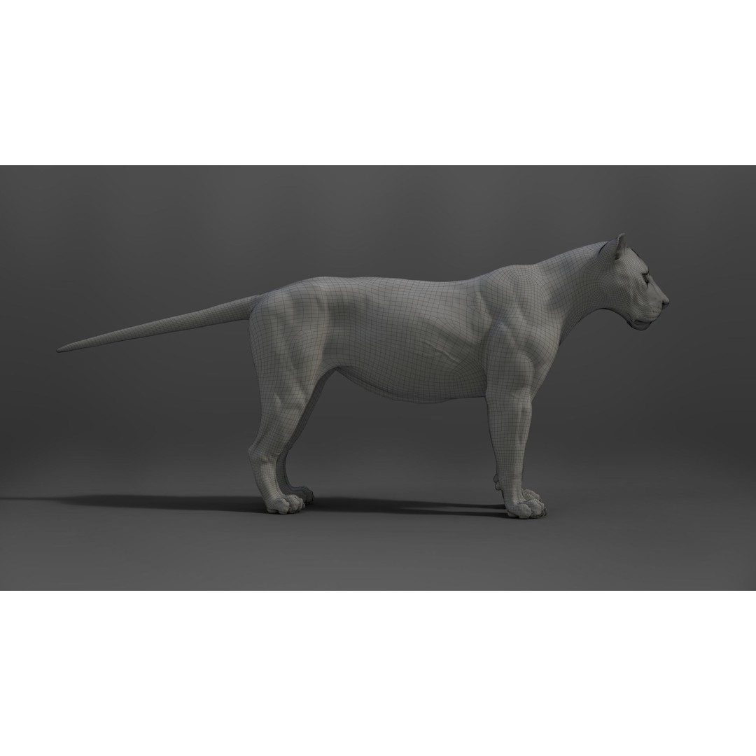 Male Lion 3D Model – High Poly Rigged Character with Animations - View 27