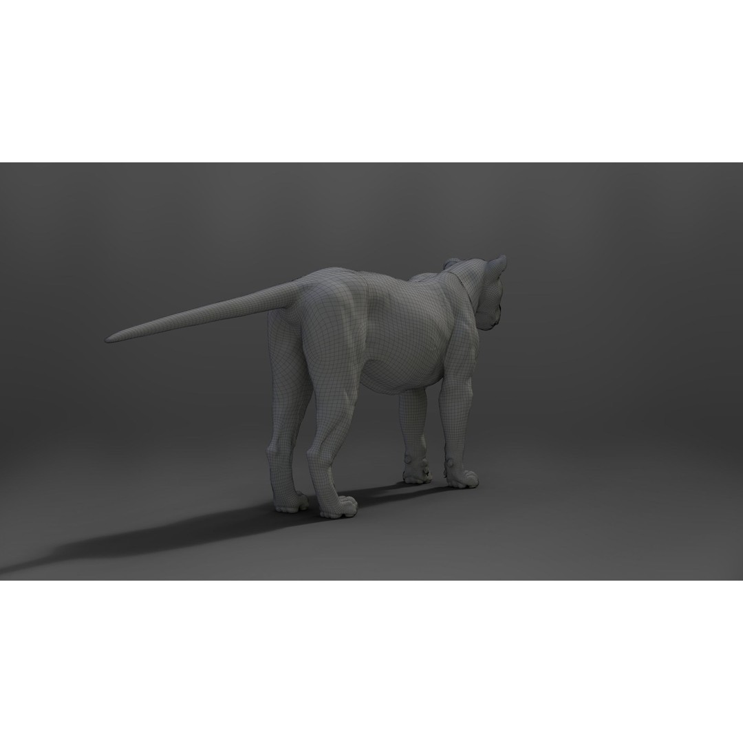 Male Lion 3D Model – High Poly Rigged Character with Animations - View 28