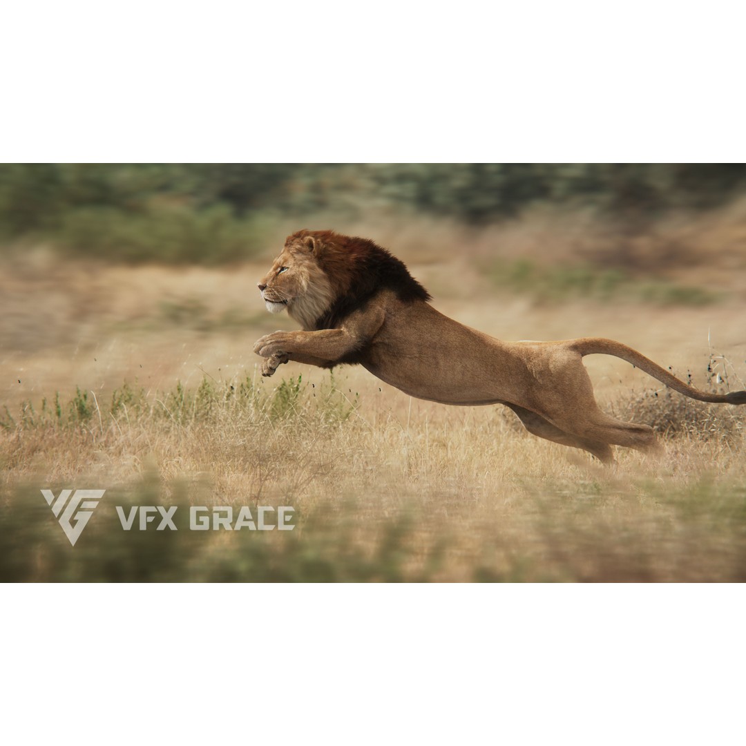 Male Lion 3D Model – High Poly Rigged Character with Animations - View 3