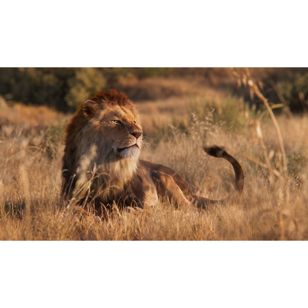 Male Lion 3D Model – High Poly Rigged Character with Animations - View 4
