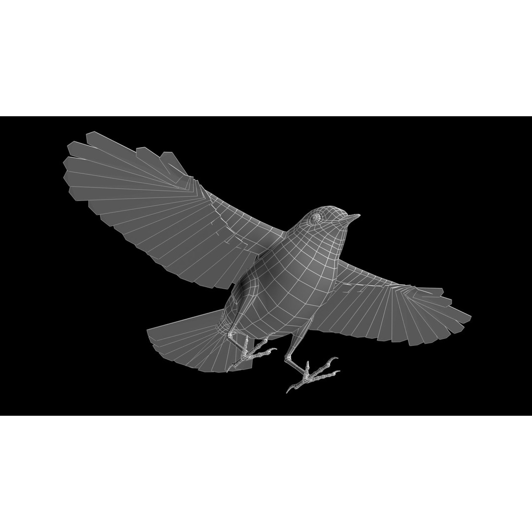 Robin 3D Model – Low Poly Animated Bird, FBX with PBR Textures