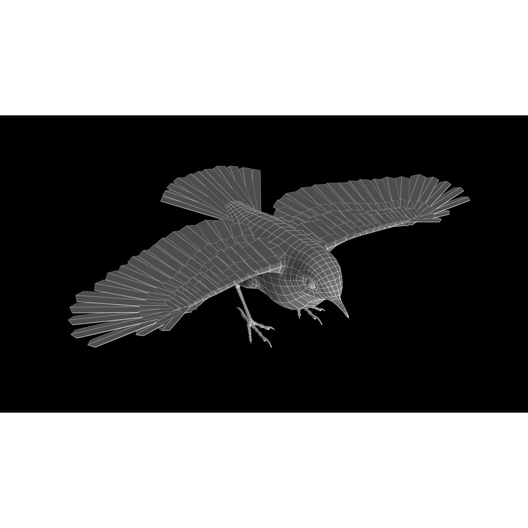Robin 3D Model – Low Poly Animated Bird, FBX with PBR Textures - View 12