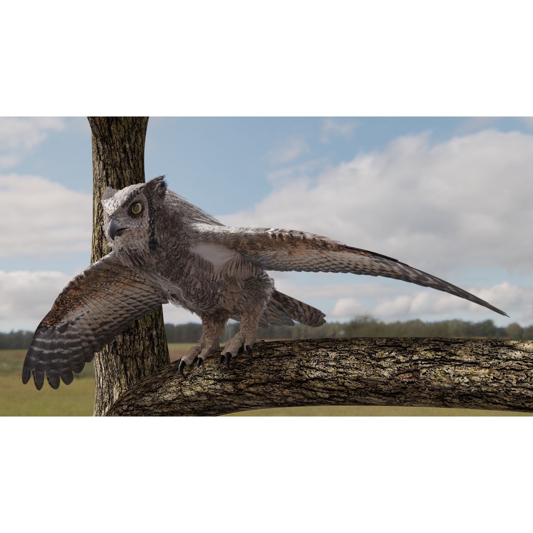Great Horned Owl 3D Model – Low Poly Rigged Animation for Blender, FBX, OBJ - View 11