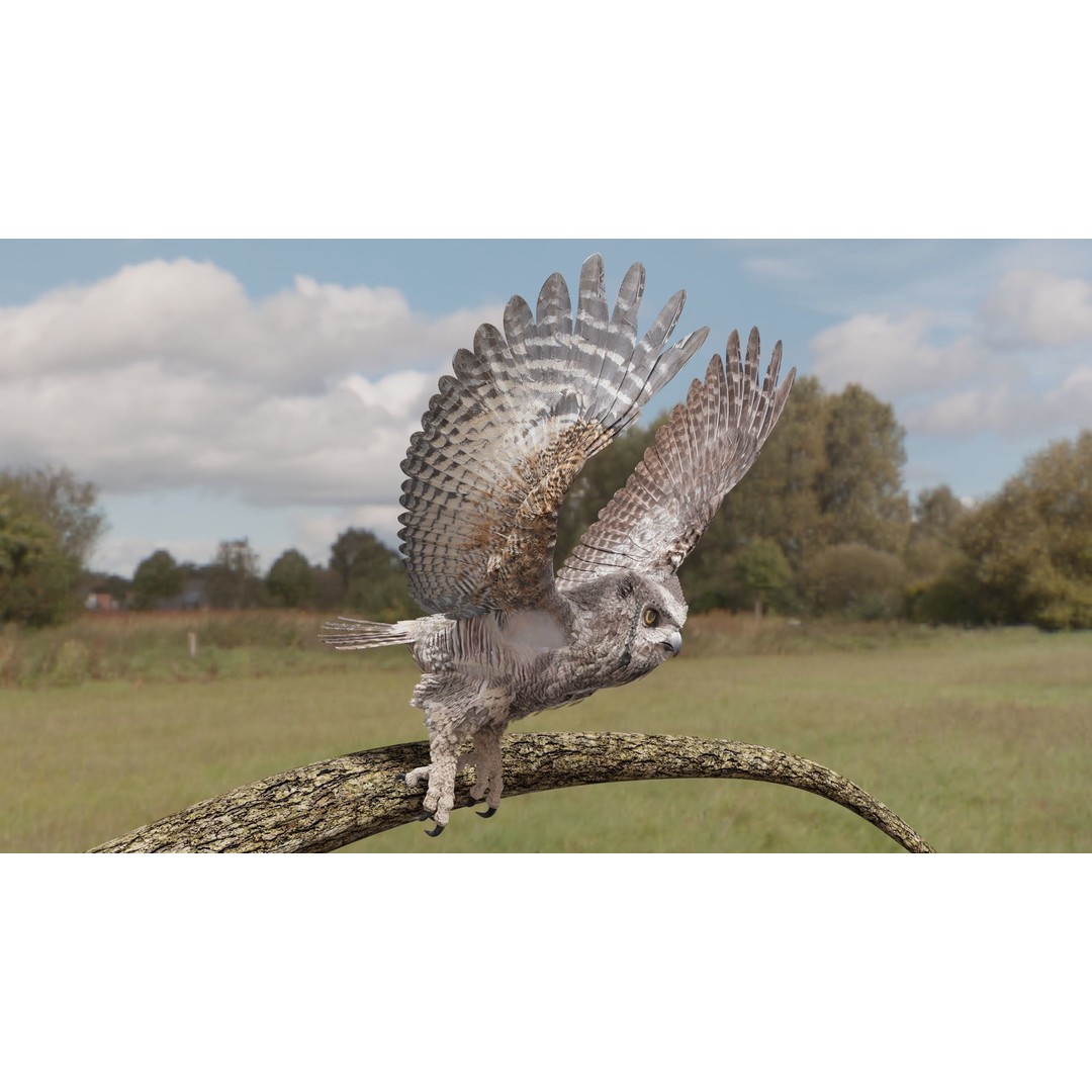 Great Horned Owl 3D Model – Low Poly Rigged Animation for Blender, FBX, OBJ - View 13