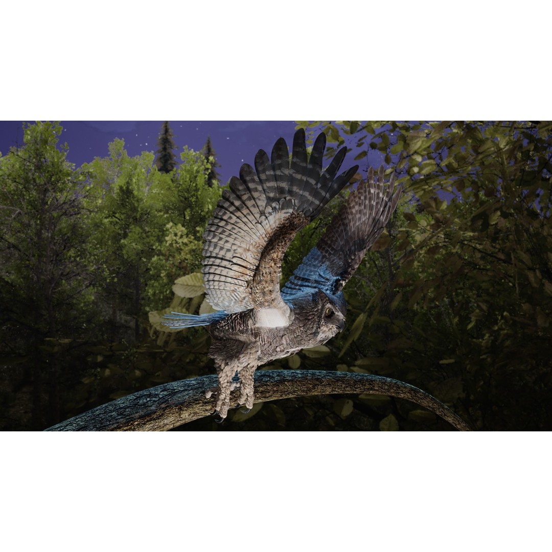 Great Horned Owl 3D Model – Low Poly Rigged Animation for Blender, FBX, OBJ - View 14