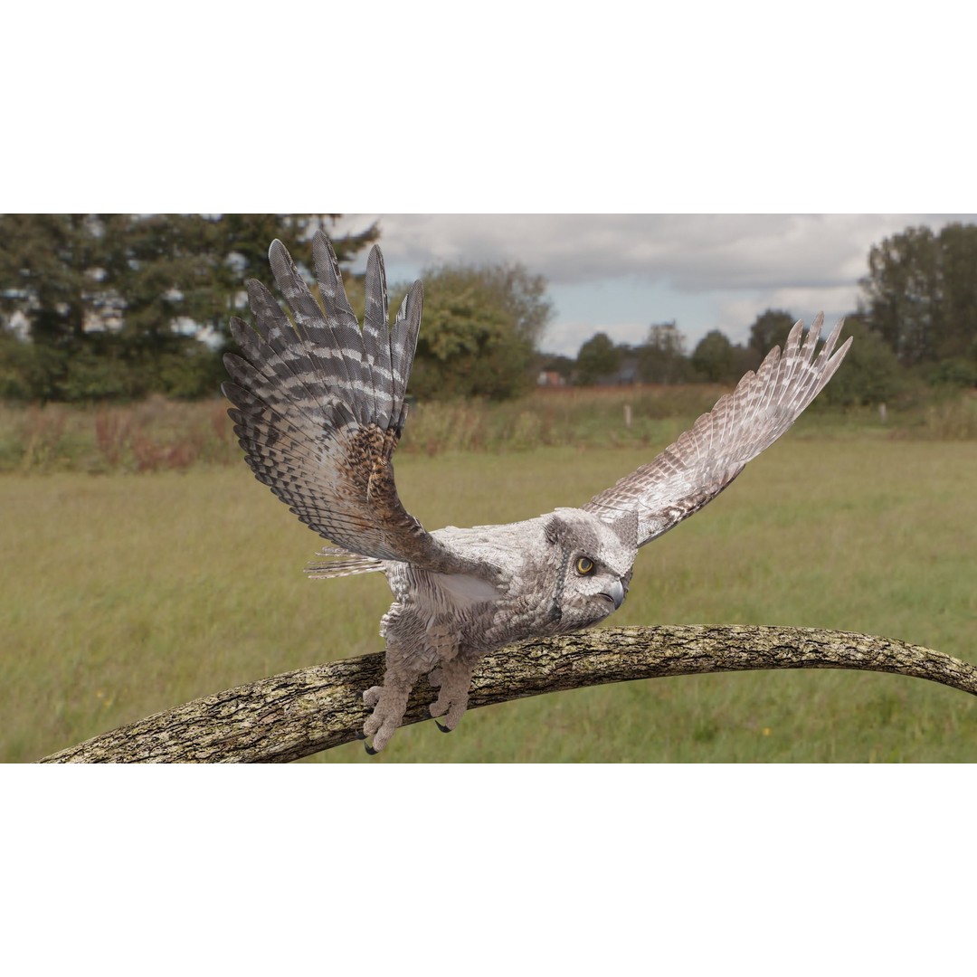 Great Horned Owl 3D Model – Low Poly Rigged Animation for Blender, FBX, OBJ - View 15