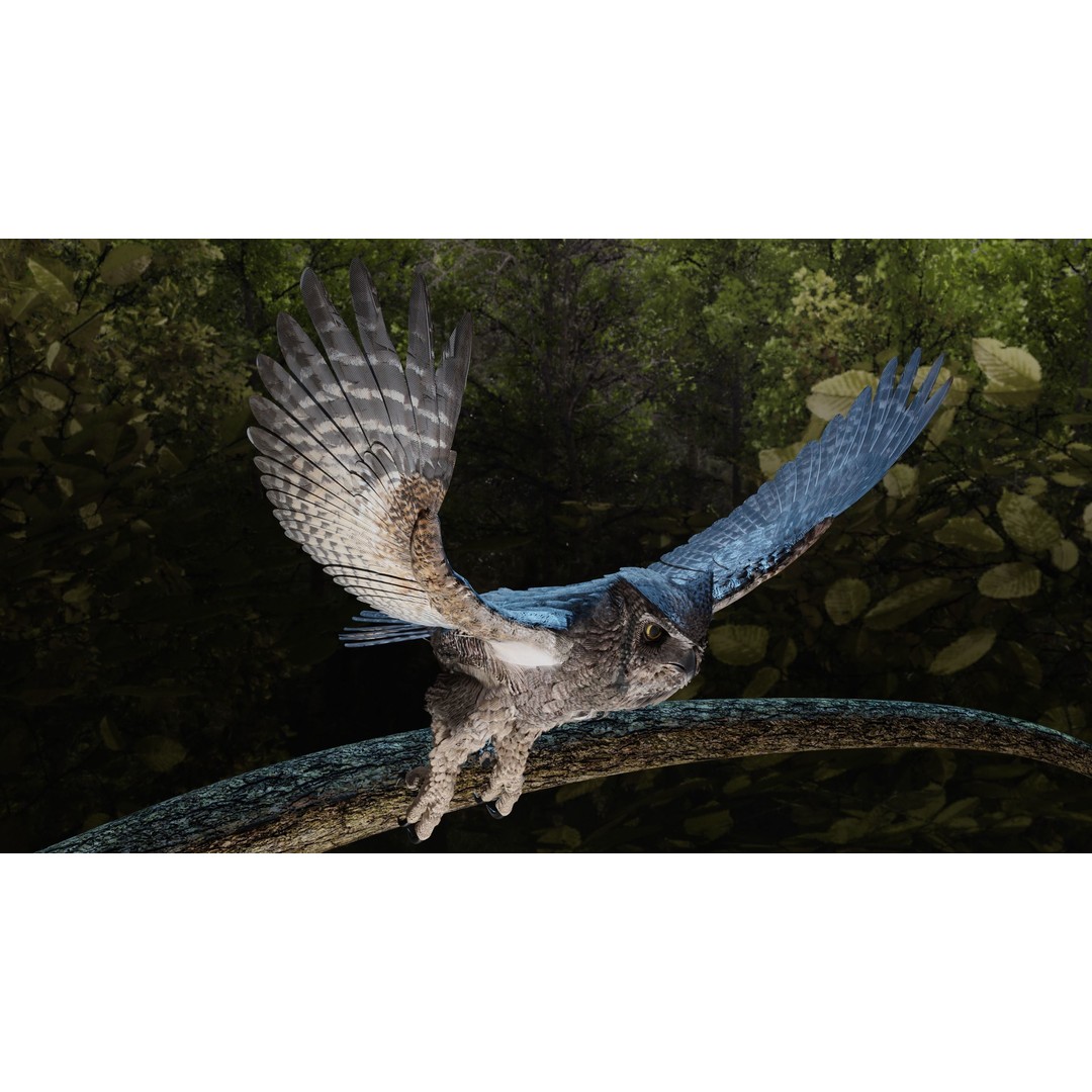 Great Horned Owl 3D Model – Low Poly Rigged Animation for Blender, FBX, OBJ - View 16