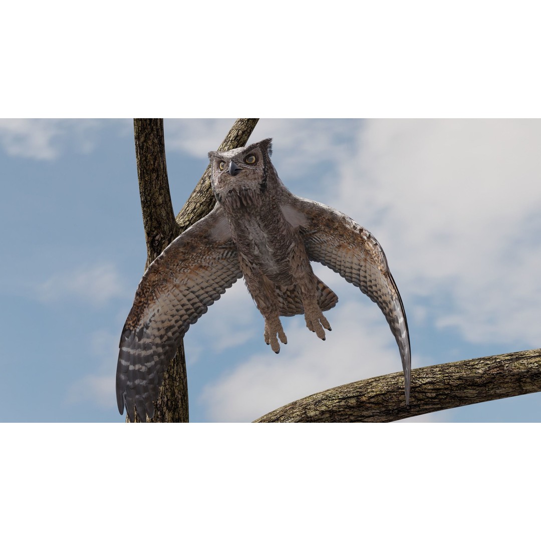 Great Horned Owl 3D Model – Low Poly Rigged Animation for Blender, FBX, OBJ - View 17