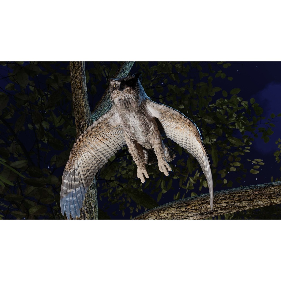 Great Horned Owl 3D Model – Low Poly Rigged Animation for Blender, FBX, OBJ - View 18