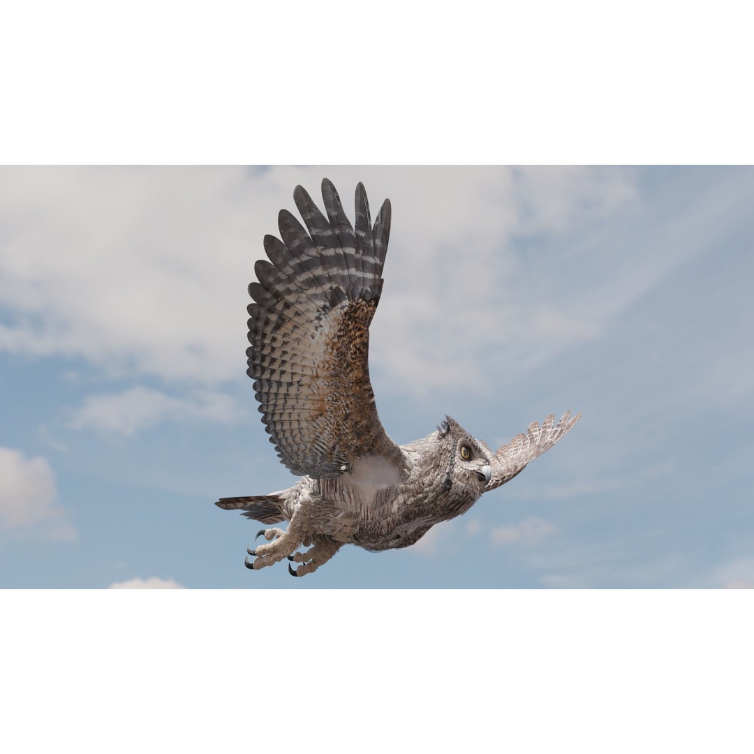 Great Horned Owl 3D Model – Low Poly Rigged Animation for Blender, FBX, OBJ - View 19