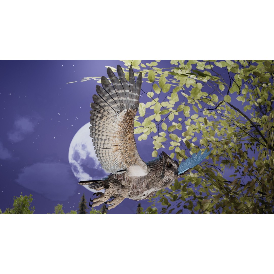 Great Horned Owl 3D Model – Low Poly Rigged Animation for Blender, FBX, OBJ - View 20