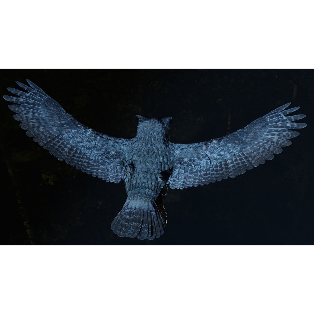 Great Horned Owl 3D Model – Low Poly Rigged Animation for Blender, FBX, OBJ - View 22