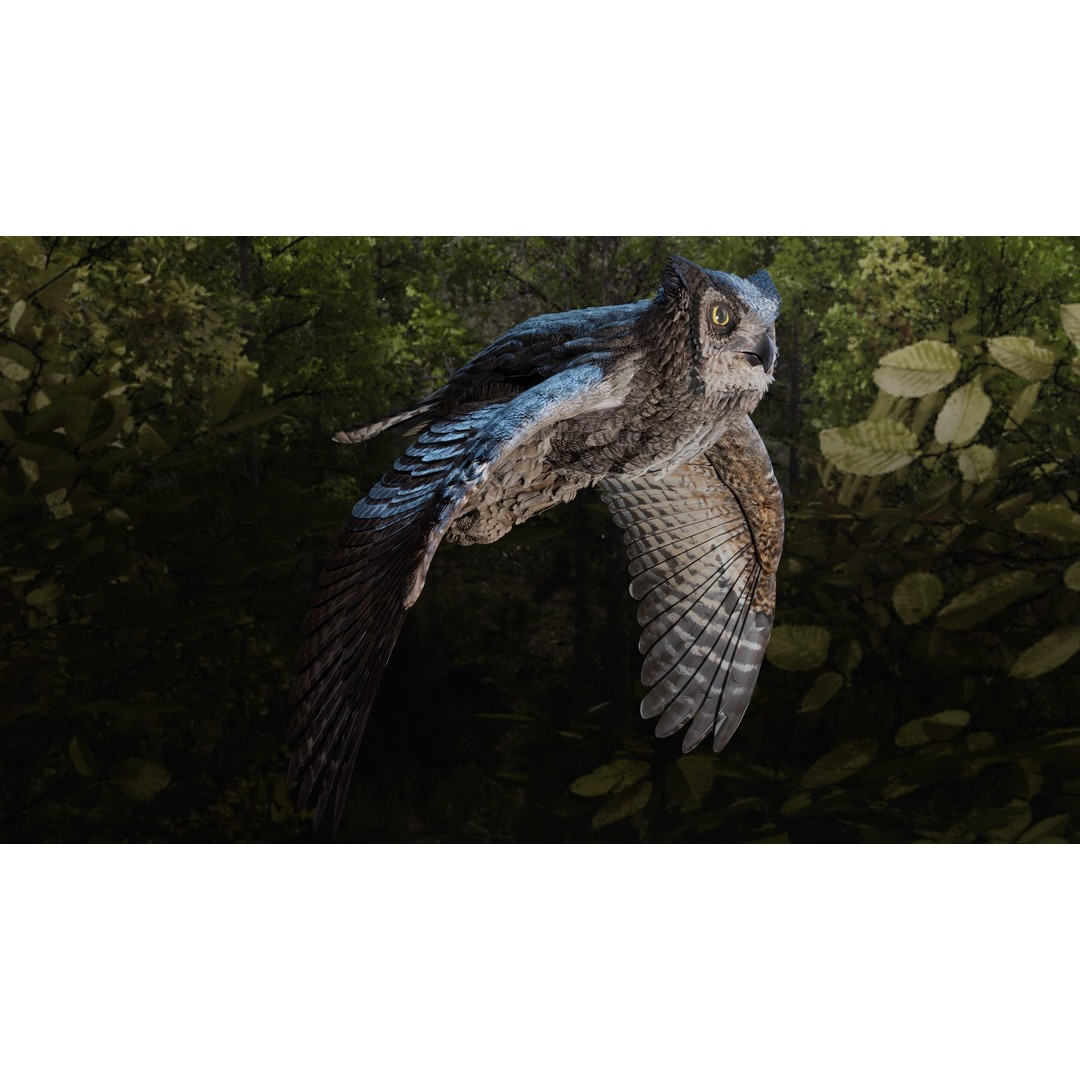 Great Horned Owl 3D Model – Low Poly Rigged Animation for Blender, FBX, OBJ - View 23