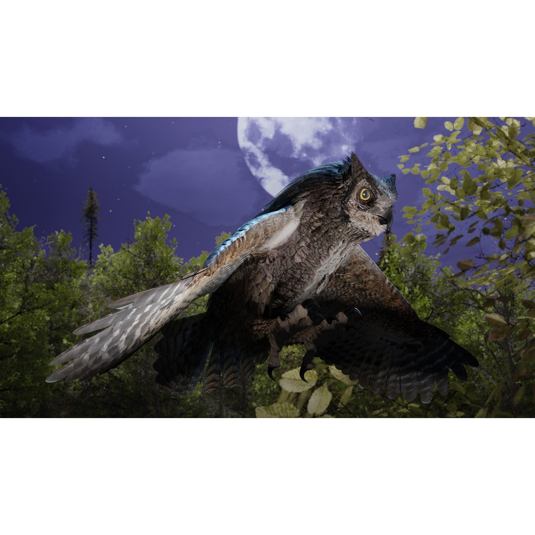 Great Horned Owl 3D Model – Low Poly Rigged Animation for Blender, FBX, OBJ - View 24