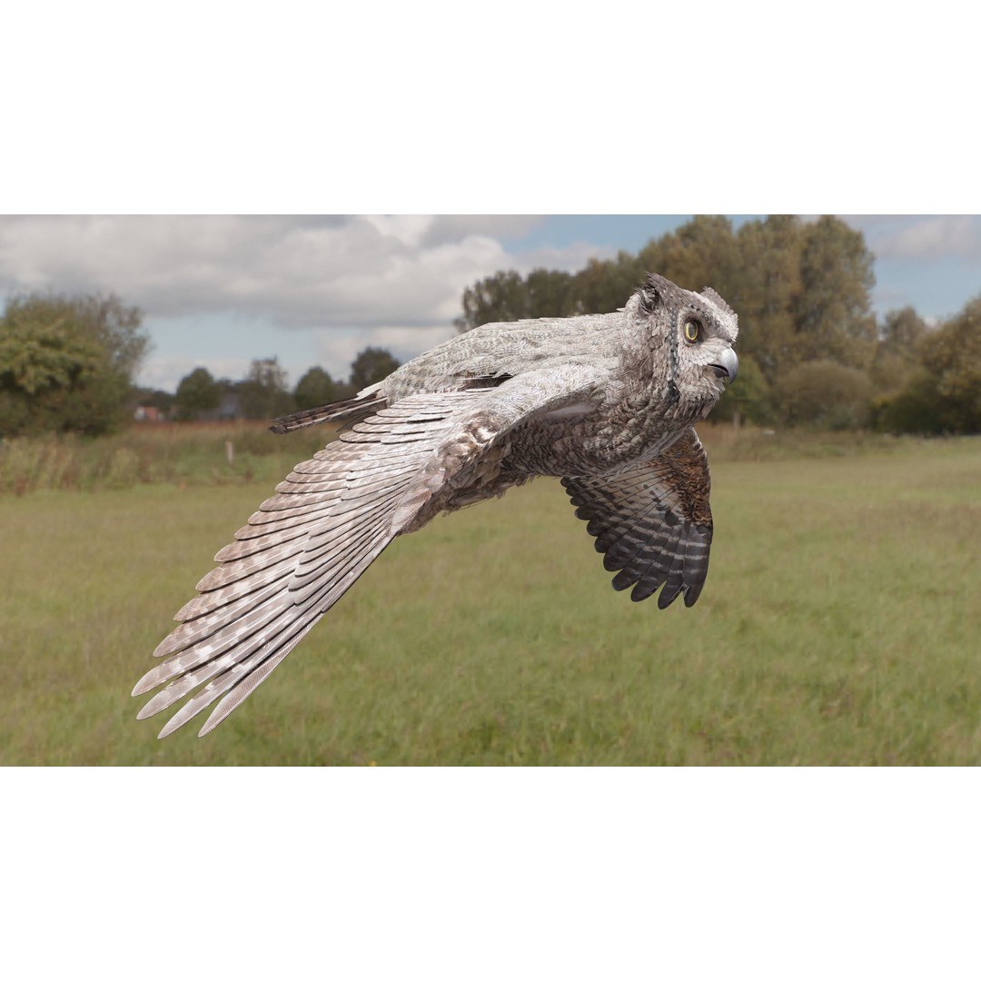 Great Horned Owl 3D Model – Low Poly Rigged Animation for Blender, FBX, OBJ - View 25