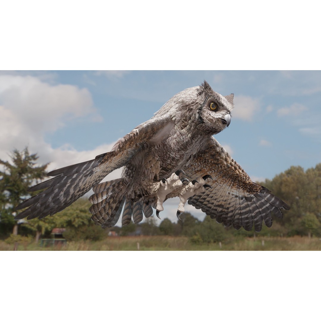 Great Horned Owl 3D Model – Low Poly Rigged Animation for Blender, FBX, OBJ - View 26