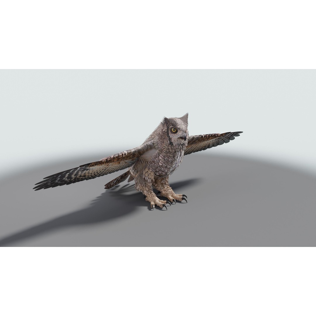 Great Horned Owl 3D Model – Low Poly Rigged Animation for Blender, FBX, OBJ - View 28