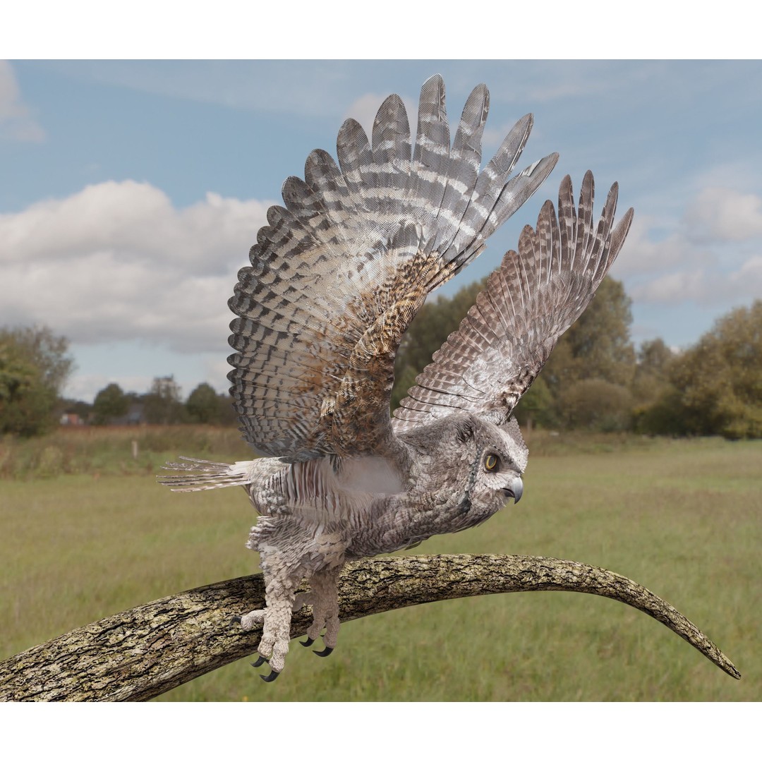 Great Horned Owl 3D Model – Low Poly Rigged Animation for Blender, FBX, OBJ - View 3