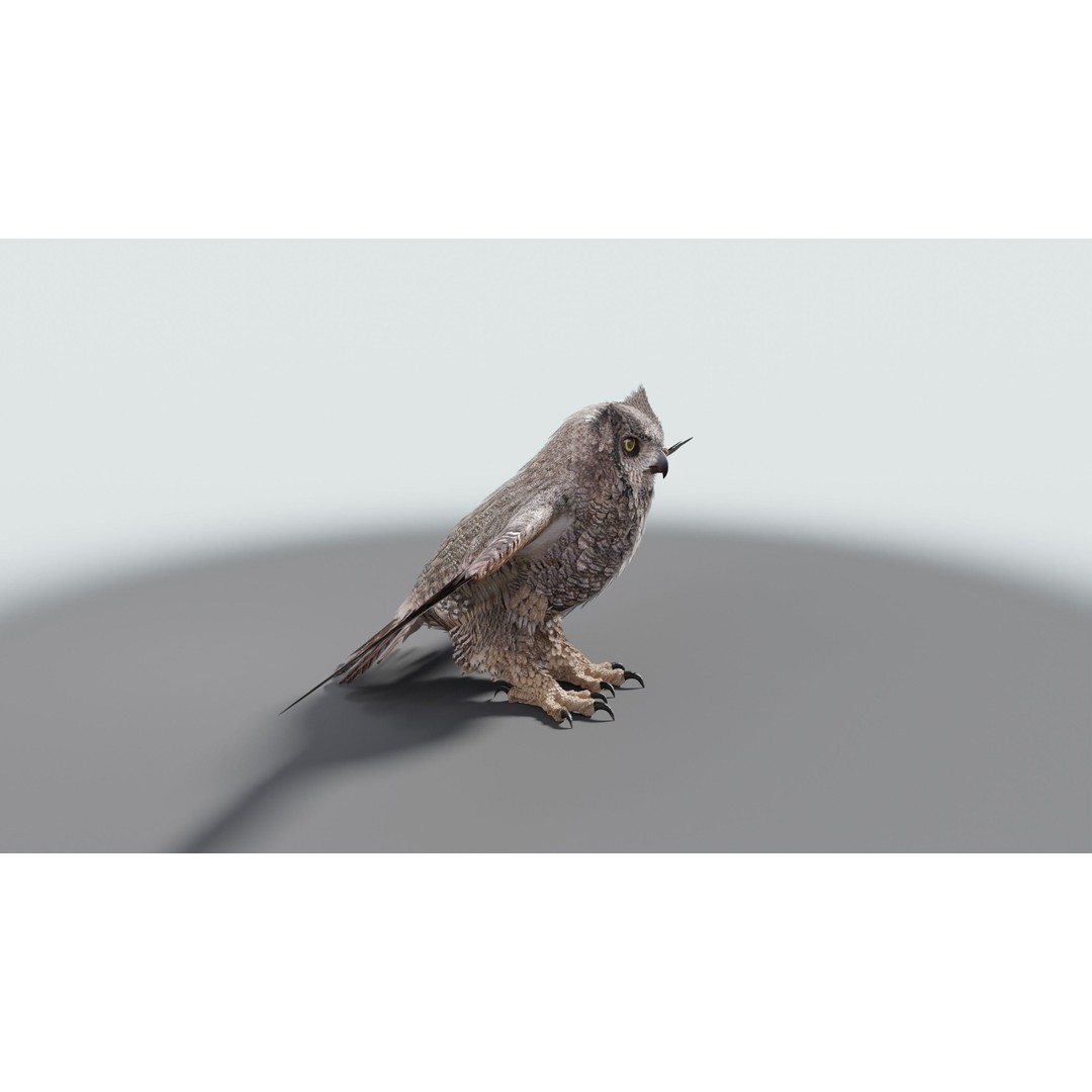 Great Horned Owl 3D Model – Low Poly Rigged Animation for Blender, FBX, OBJ - View 30