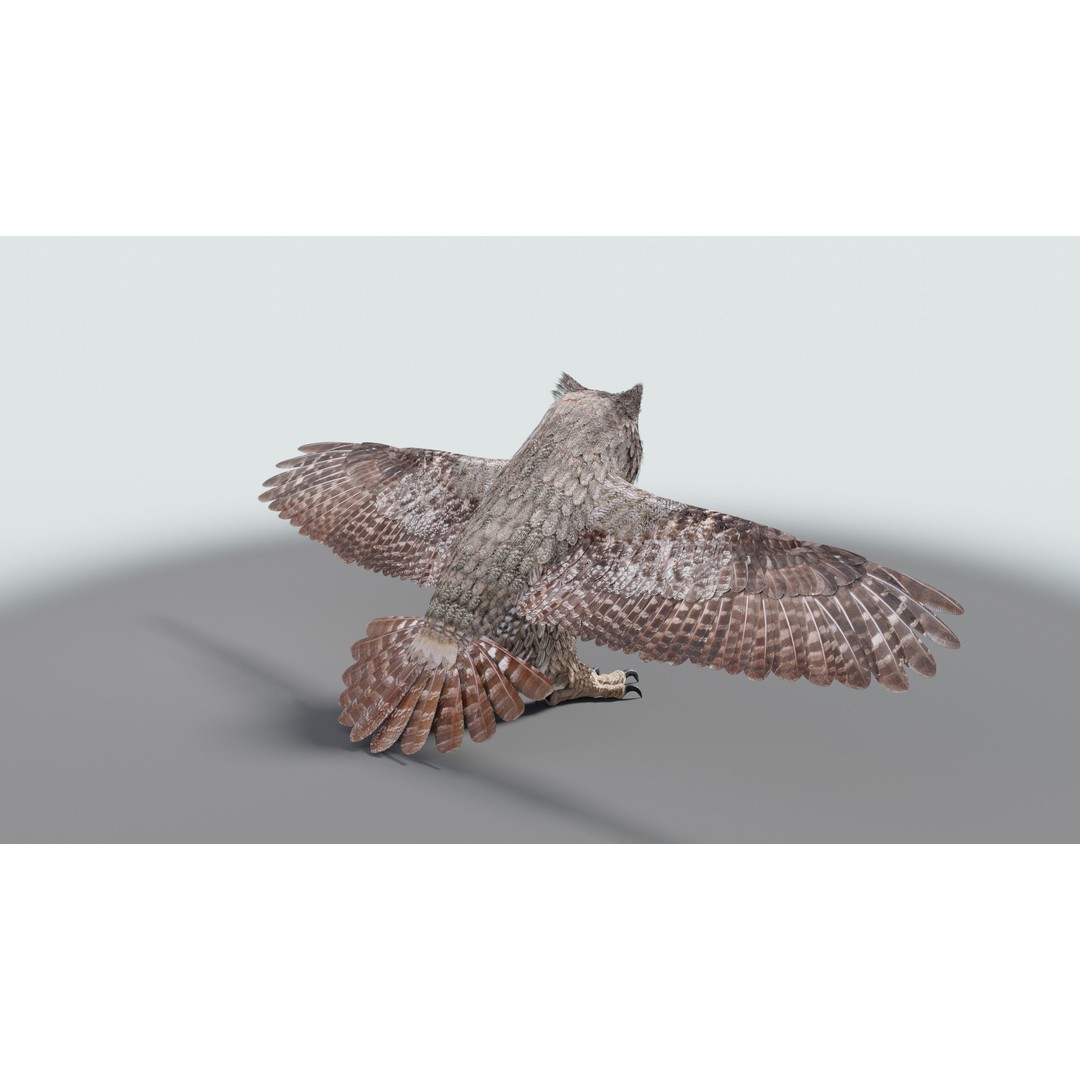 Great Horned Owl 3D Model – Low Poly Rigged Animation for Blender, FBX, OBJ - View 32