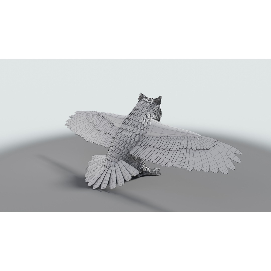 Great Horned Owl 3D Model – Low Poly Rigged Animation for Blender, FBX, OBJ - View 33
