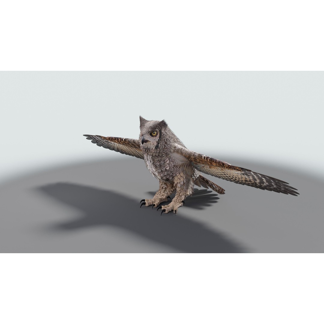 Great Horned Owl 3D Model – Low Poly Rigged Animation for Blender, FBX, OBJ - View 34